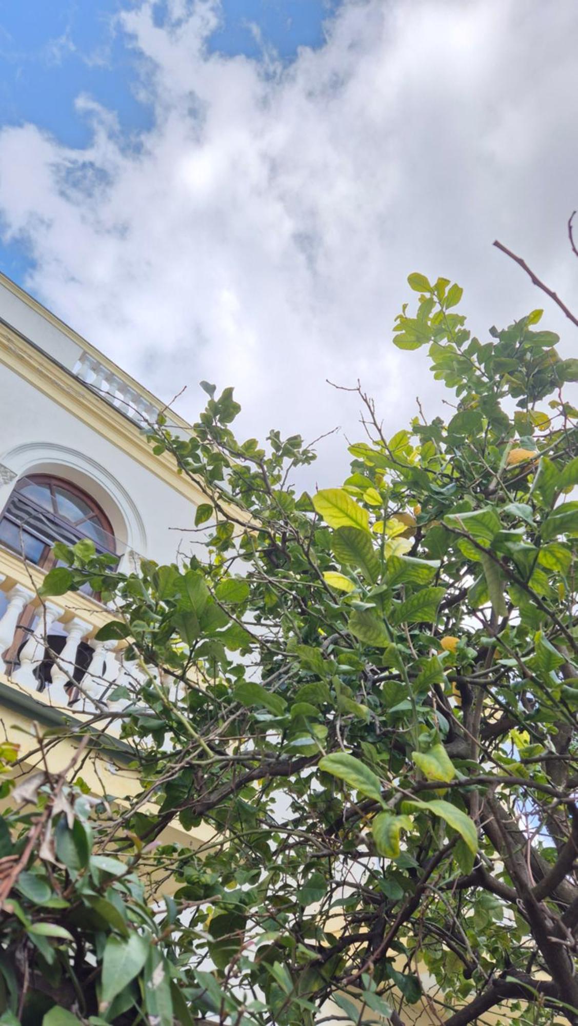 Relais Villa Montedonzelli Naples Extérieur photo